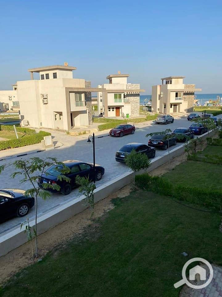 273609406_4760082944102610_7057156241132518381_n. jpg