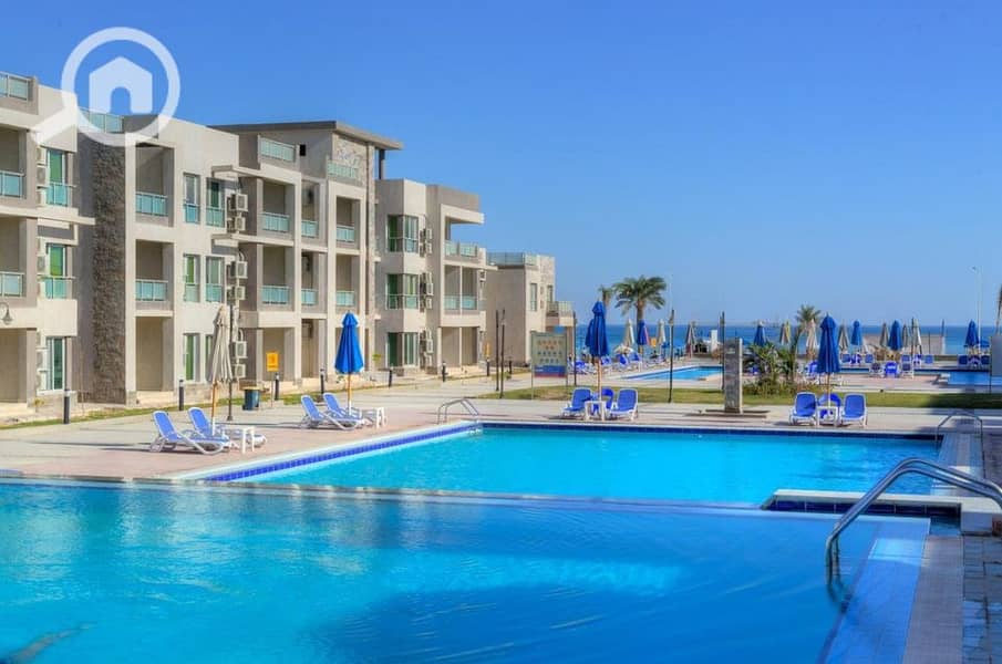 4 283593940_331216812508063_5286045840773943410_n. jpg