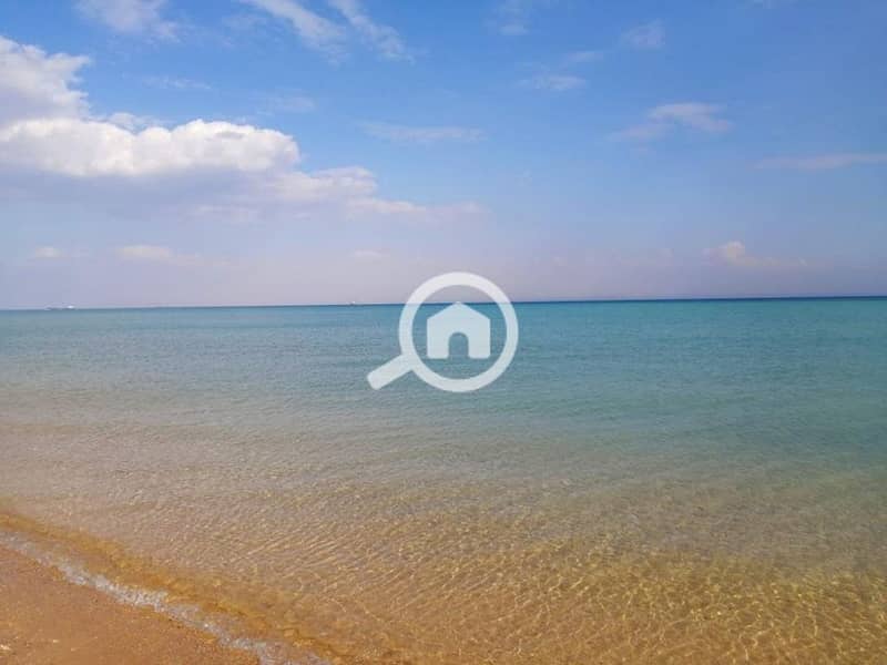 7 285176441_331216919174719_1130876786229786342_n. jpg