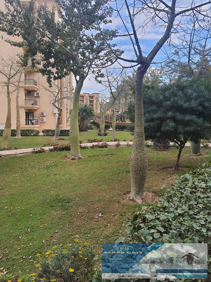 14 WhatsApp Image 2025-10-01 at 1.02. 55 PM (1). jpeg