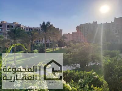 2 Bedroom Flat for Rent in New Cairo, Cairo - e288ede8-afe4-45a6-8856-c203d17fe7e8. jpg 2 Bedroom Flat for Rent in New Cairo, Cairo - e288ede8-afe4-45a6-8856-c203d17fe7e8. jpg