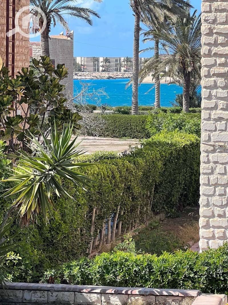 6 WhatsApp Image 2025-11-26 at 5.21. 39 PM (1). jpeg