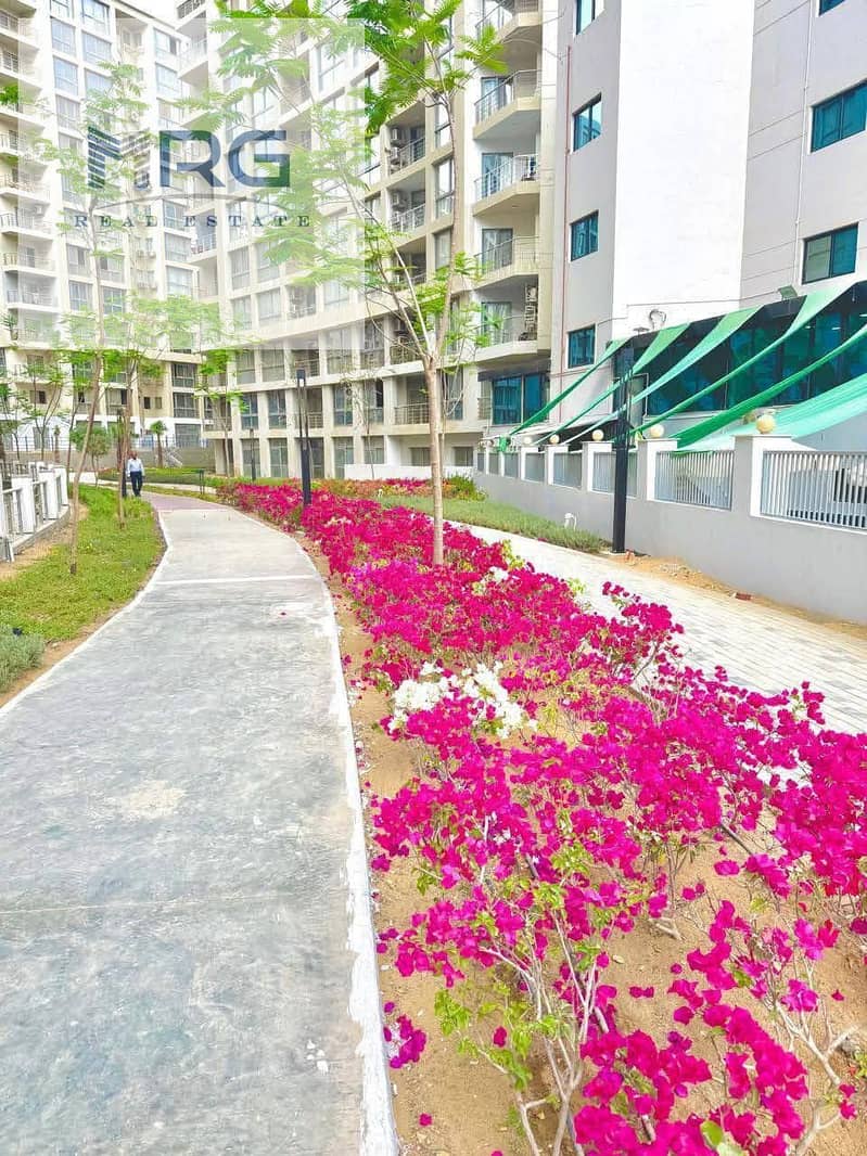 10 567677856_2841052919437147_1357517849790460335_n. jpg