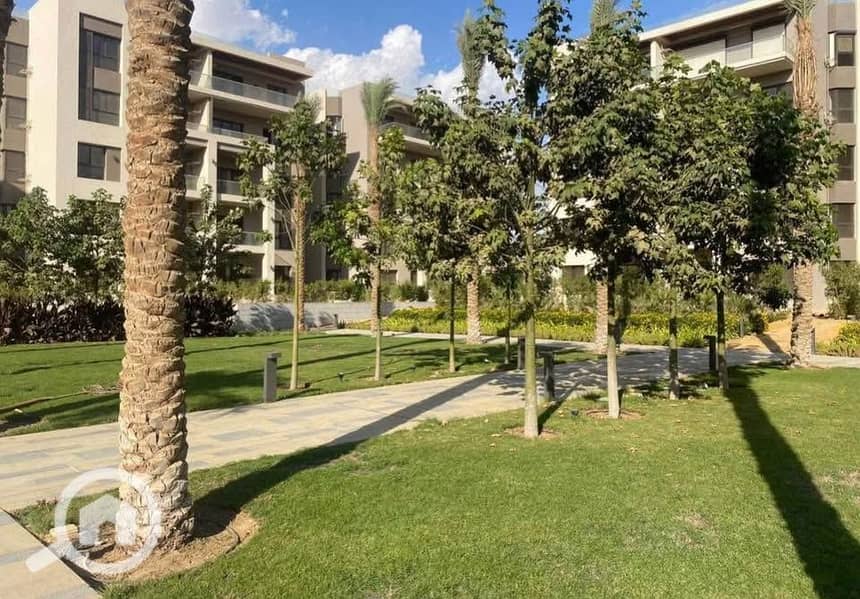 7 574889334_4324411831129282_6442949148013579195_n. jpg