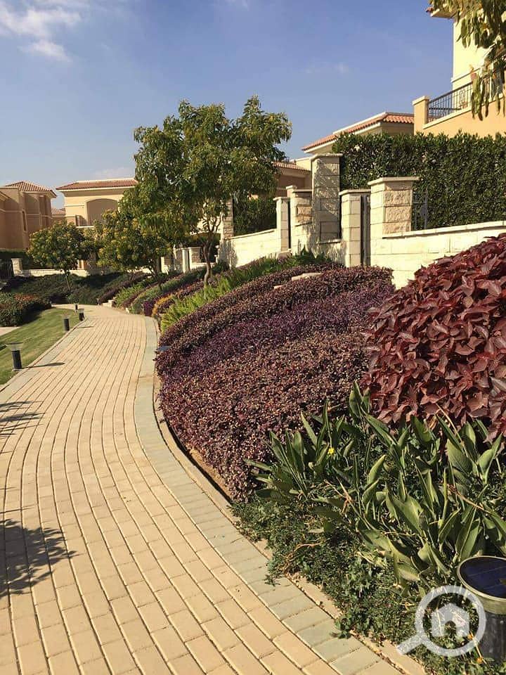 10 241081590_4421013007936763_3080481593018252450_n. jpg