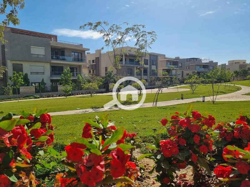 7 475982068_10170639494250301_8026885854244595212_n. jpg