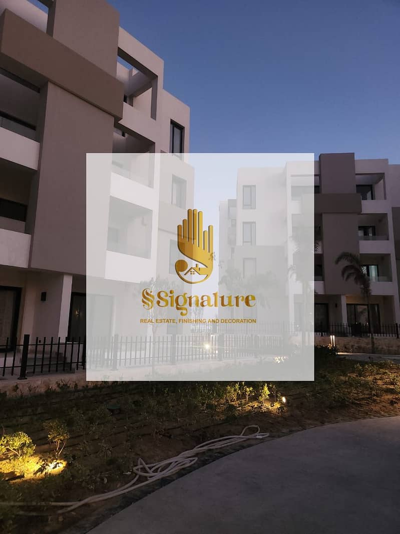 4 زهره الساحل ٣. jpeg