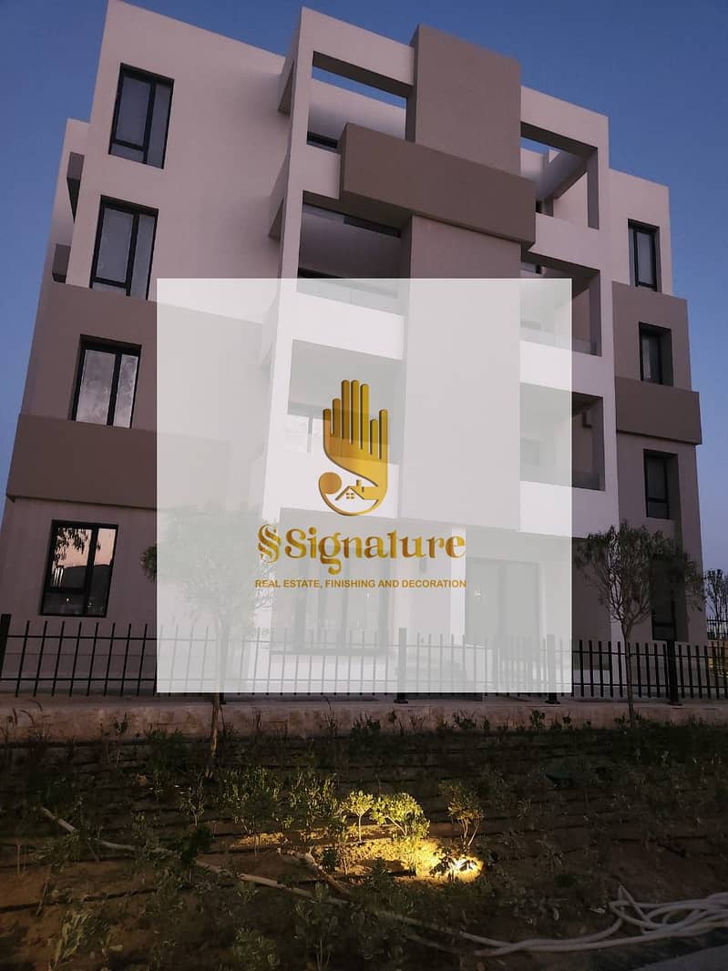 5 زهره الساحل ٤. jpeg