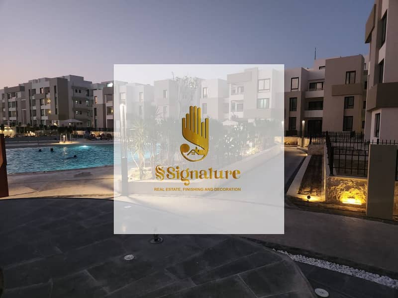 10 زهره الساحل ٧. jpeg