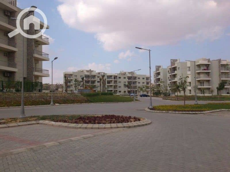 3 58909c2bb1a9b. jpg