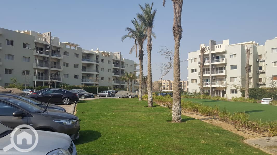 5 20170326_151023. jpg