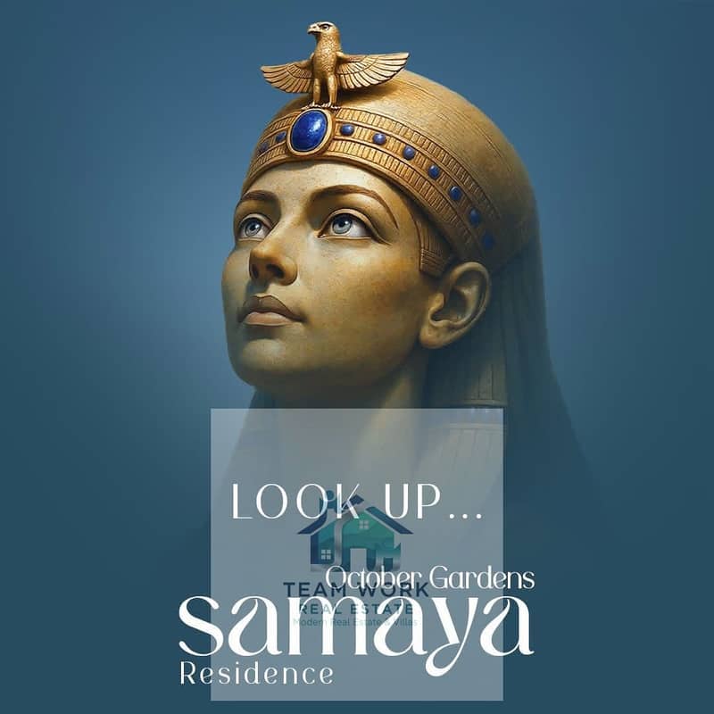 12 1823135a-dc17-4994-9908-59a10249939d. jpg