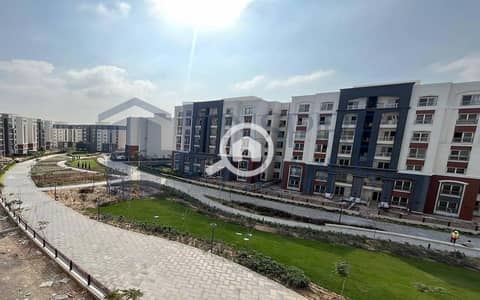 شقة 4 غرف نوم للايجار في عجمي، الإسكندرية - 01. jpg