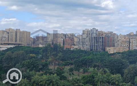 3 Bedroom Apartment for Rent in Sporting, Alexandria - 1. jpg