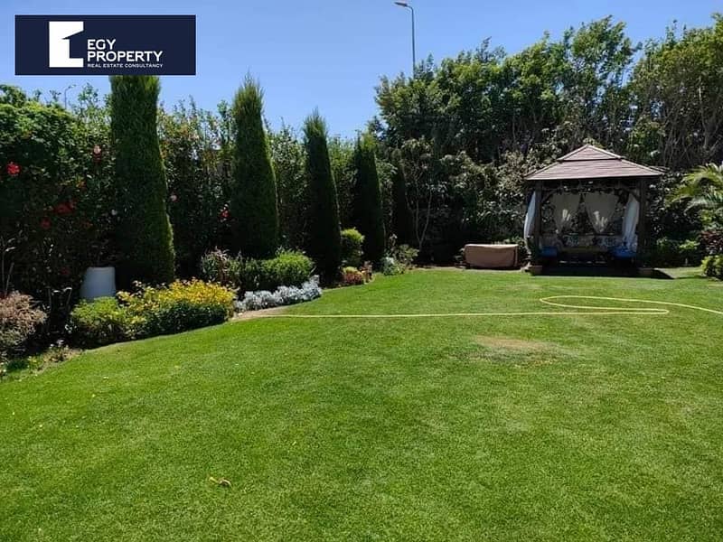 3 491420298_705988625496368_8319680492058930441_n. jpg