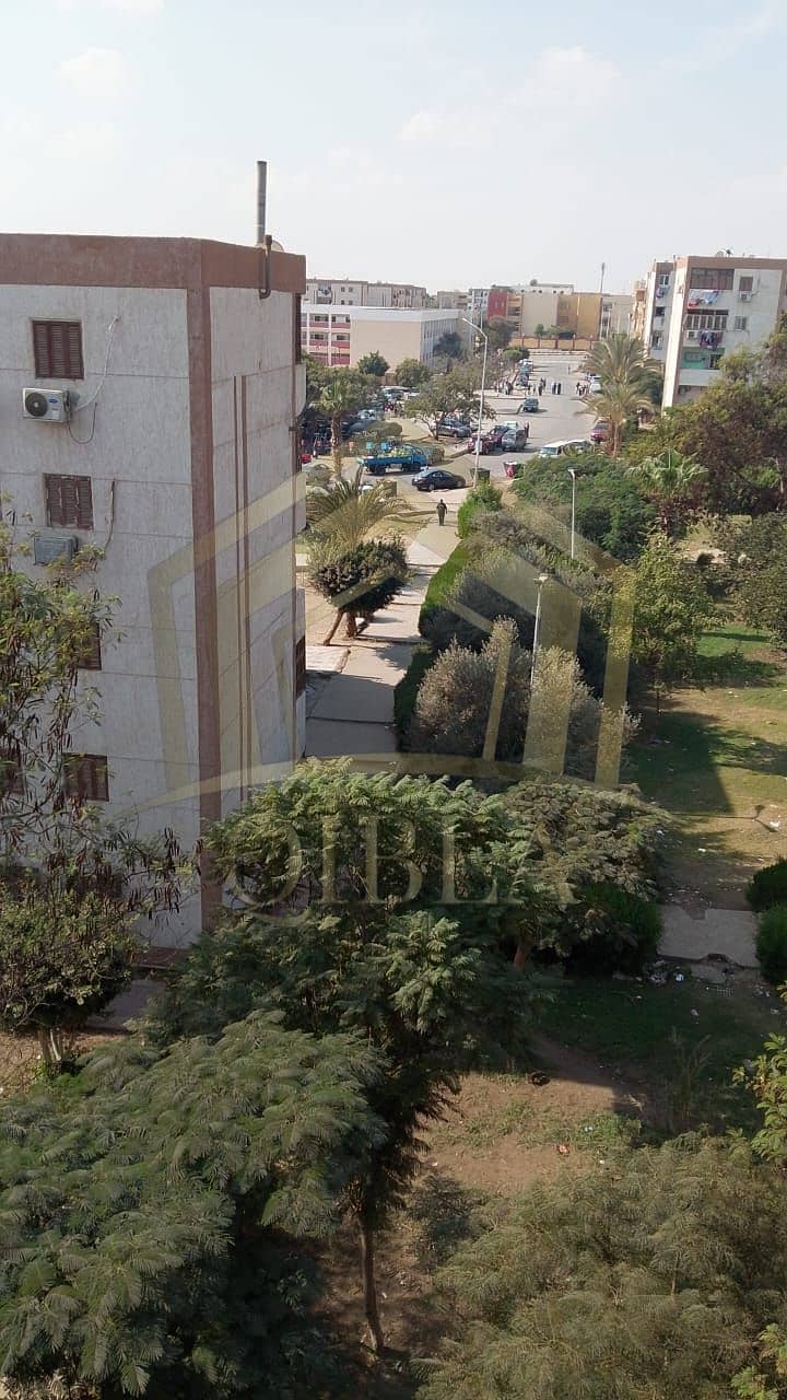 8 صورة واتساب بتاريخ 2025-11-23 في 19.46. 11_ad567bba. jpg