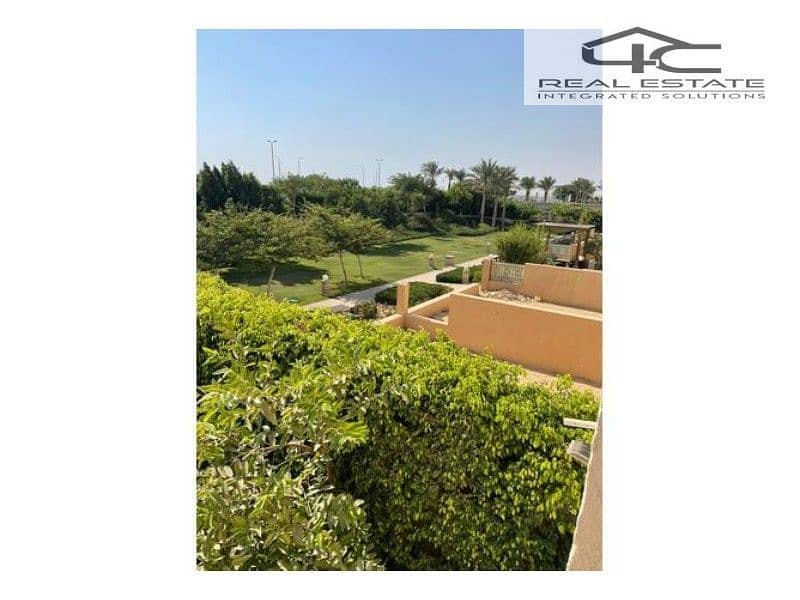 10 3827051-cecb8o. jpg