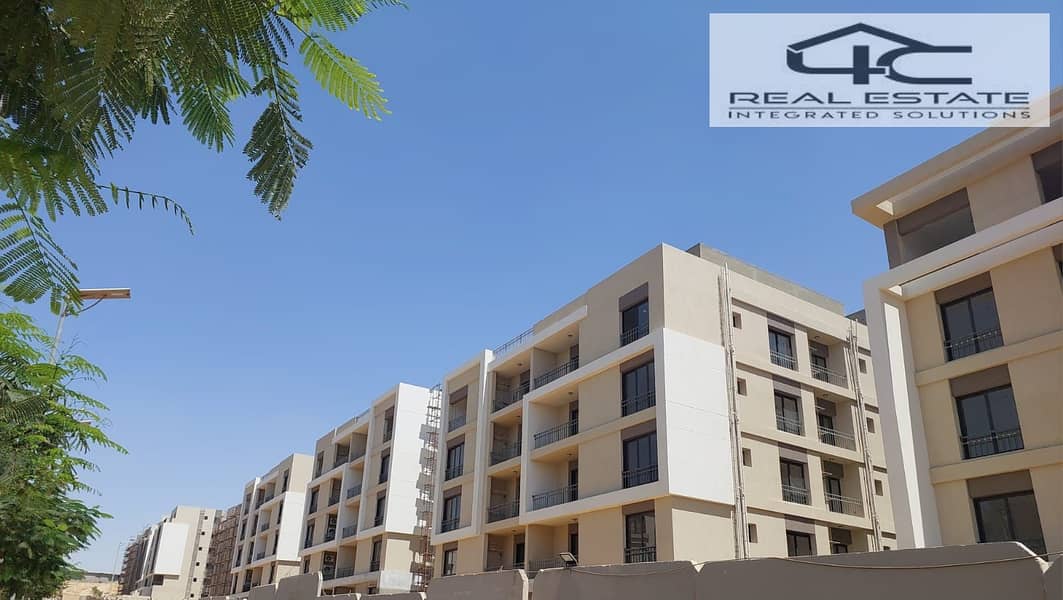 4 WhatsApp Image 2024-10-09 at 7.20. 32 PM (1). jpeg