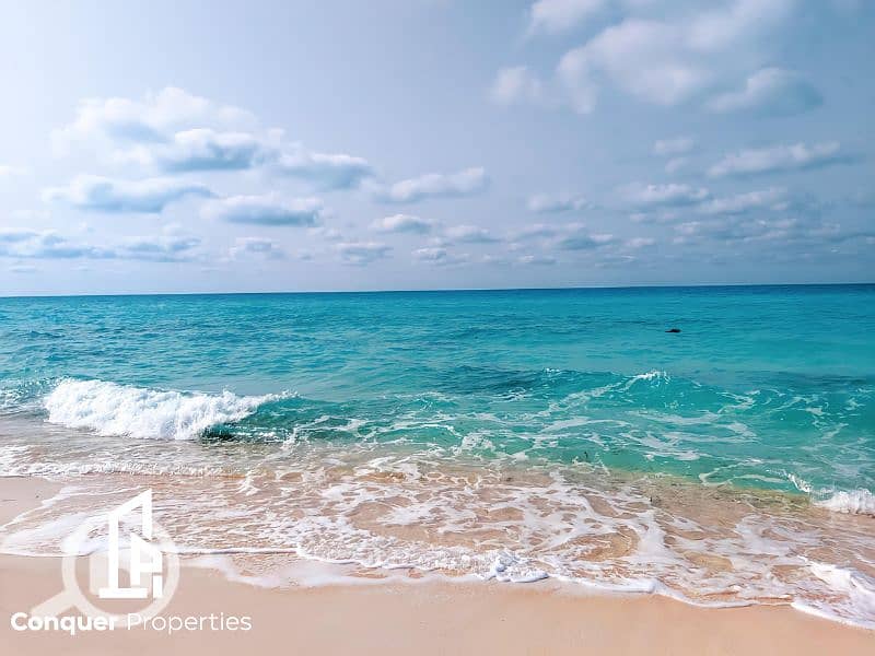 3 Untitled design - 2023-07-26T153431.911 (2). png