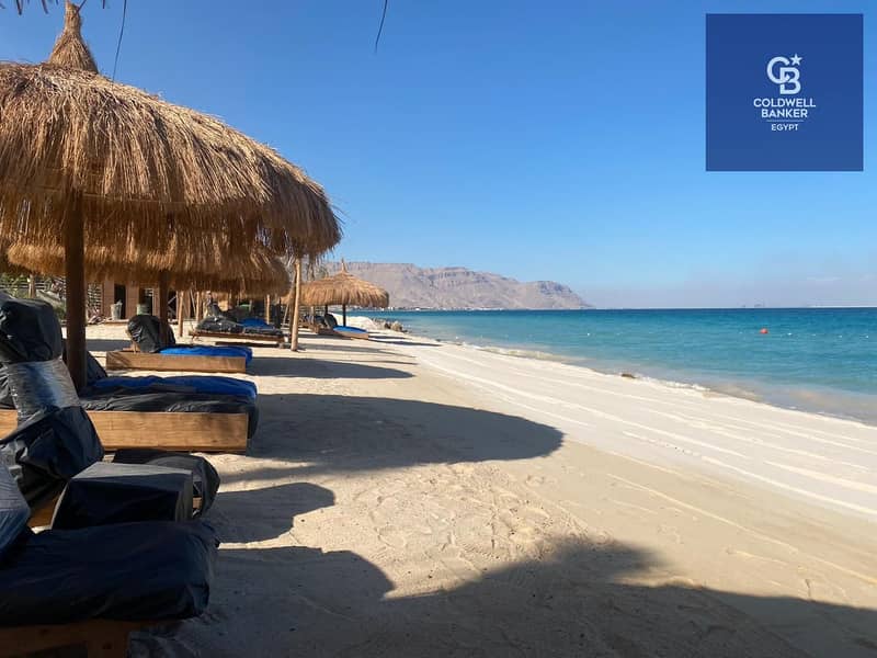 3 4d0a5acc-bbf9-49d7-8b77-24cece668bf3. jpeg