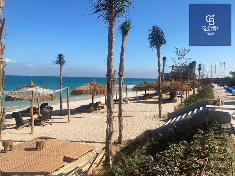 4 01b0d49e-9cc0-45f1-8d8c-8a1902d84e5c. jpeg