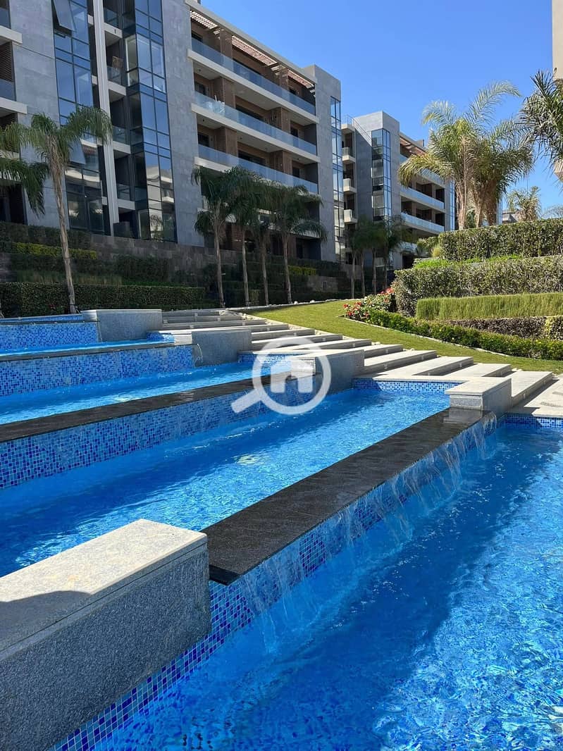 7 559442766_122171357510452447_4319088383172500963_n. jpg