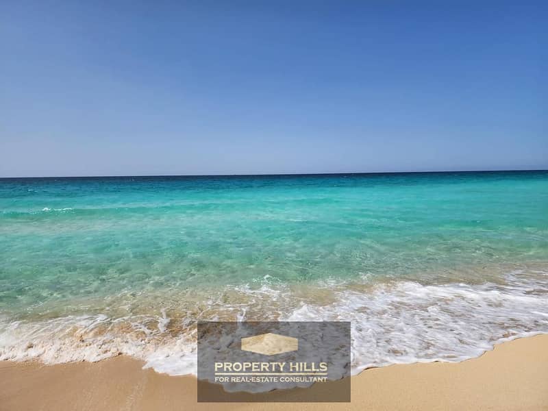 5 0ecd7563-ab6b-47a7-98da-f184084e480e. jpg