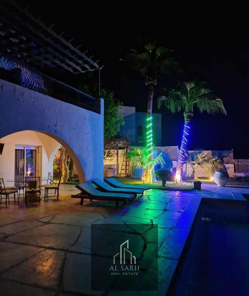 4 05e03337-1dbe-4eee-8b19-218b0ef415e0. jpeg