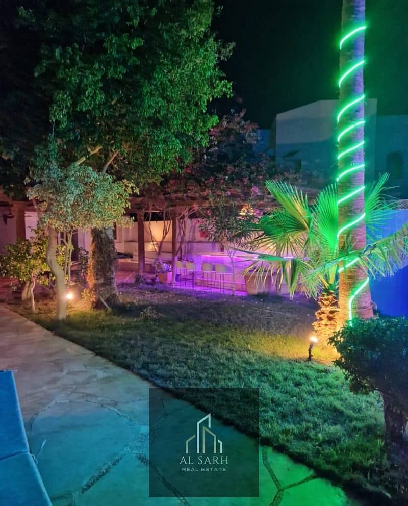 5 6f555771-8044-4c95-b7c4-27fef518042f. jpeg