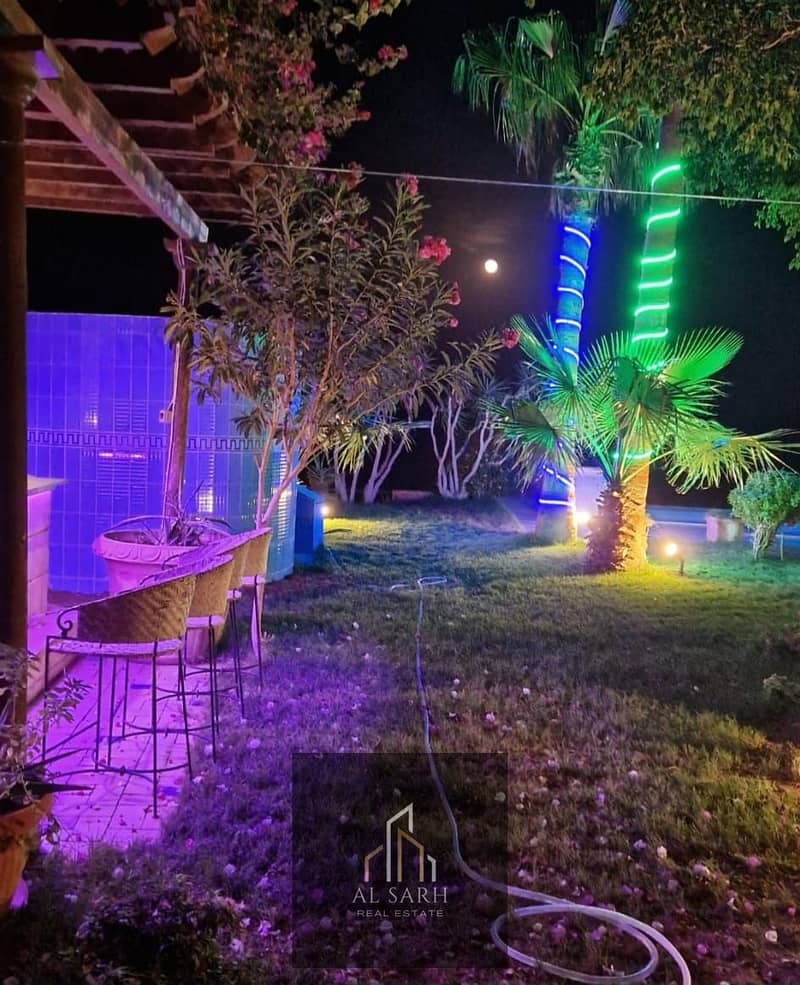 6 71e72962-bb9f-41f3-865a-23c78c1d7230. jpeg