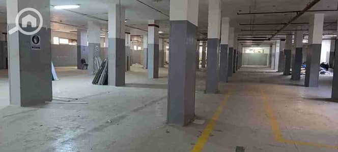 Factory for Rent in Obour City, Cairo - 1000121355. jpg