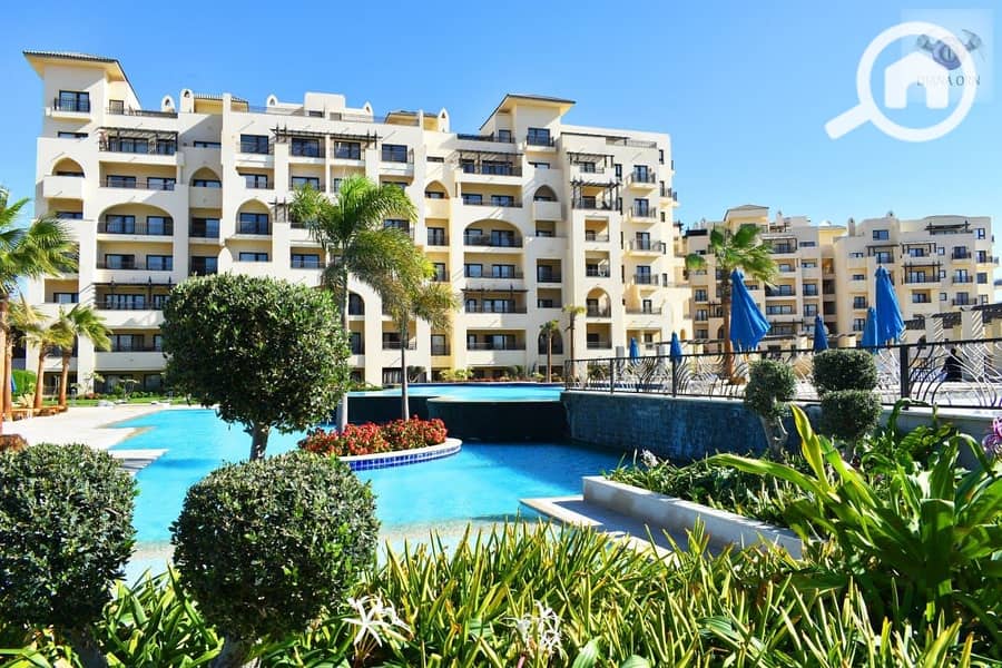 586204270_2238880299957831_9021872433655656355_n. jpg