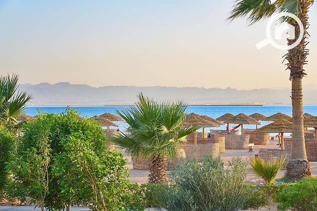 2 547386394_796734896209304_8633921717499400078_n. jpg