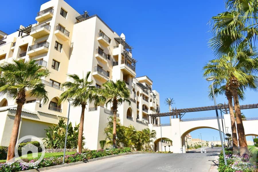 9 589839286_2238880283291166_4182990940507616197_n. jpg