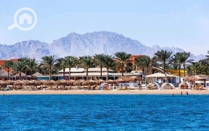 6 552419365_1325384098974930_1584526909051495601_n. jpg