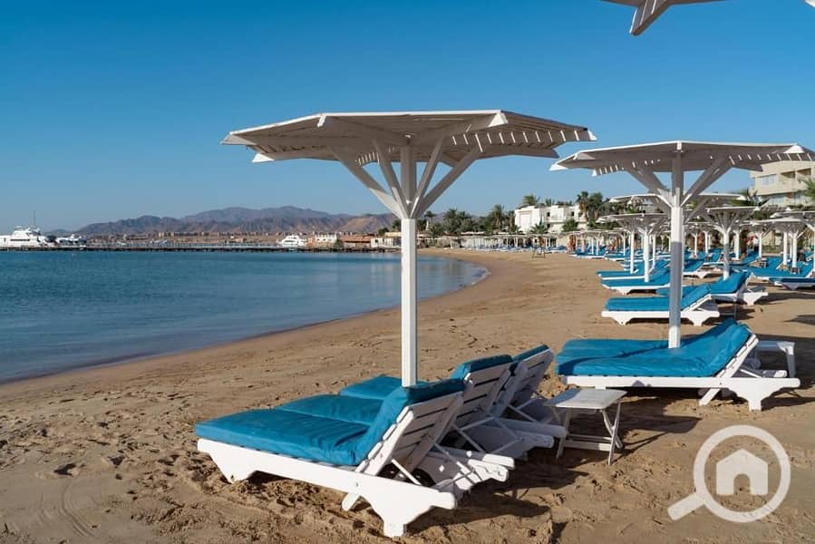 7 558766747_813528771196583_5066870499196969113_n. jpg