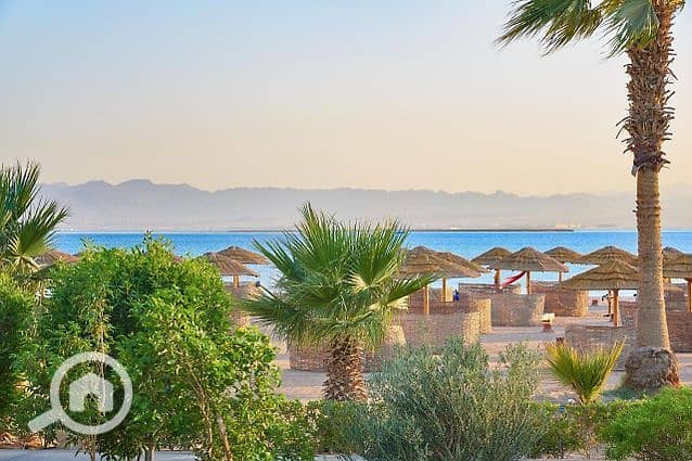 4 547386394_796734896209304_8633921717499400078_n. jpg