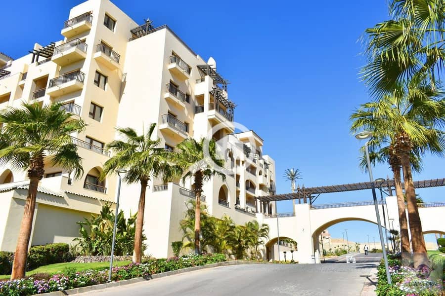 9 589839286_2238880283291166_4182990940507616197_n. jpg