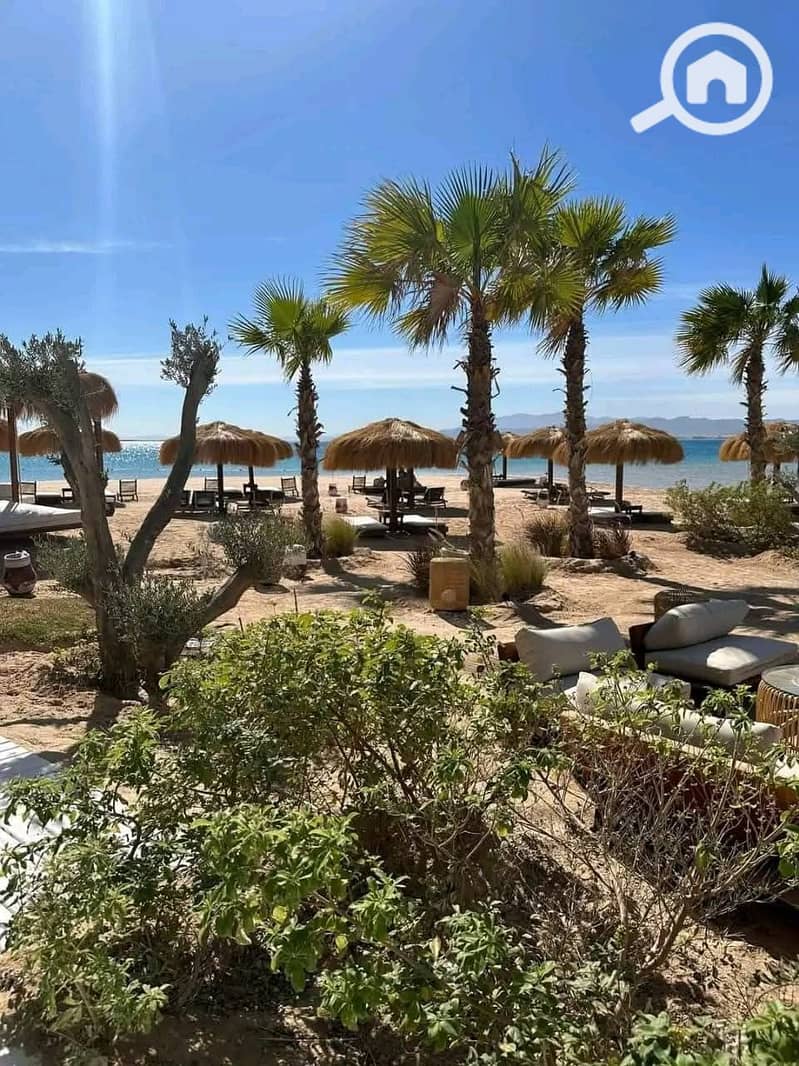 FB_IMG_1762195204416. jpg