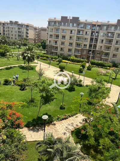 2 Bedroom Apartment for Sale in Madinaty, Cairo - WhatsApp Image 2025-11-22 at 22.17. 52. jpeg