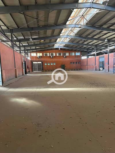 مستودع  للايجار في العامرية، الإسكندرية - IMG_4233. jpg