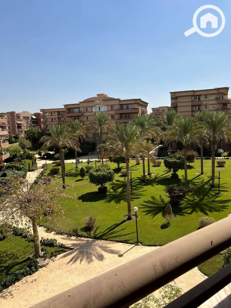 13 590824313_1490849696376935_2264420799693371598_n. jpg