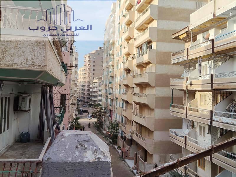 2 78e391e9-2516-47f1-aef2-eba76df0aad4. jpg