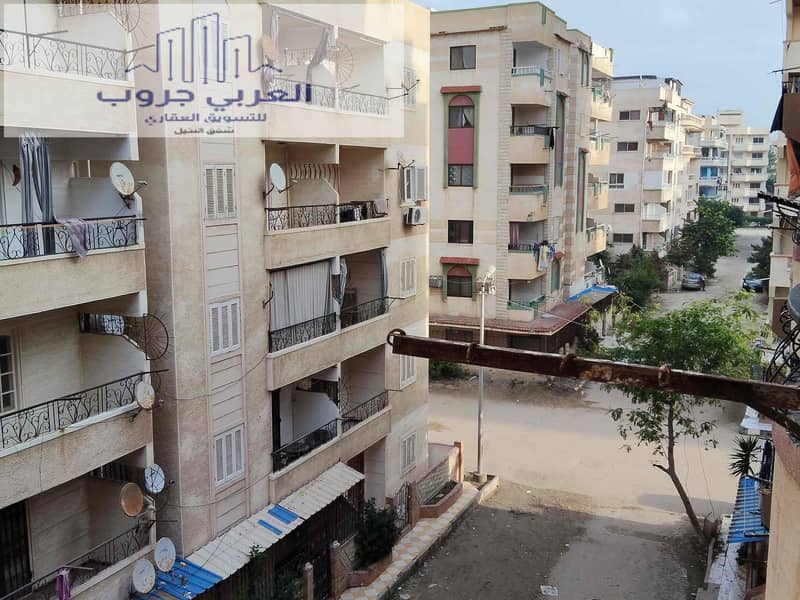 11 c24bbfe8-d09d-4a4f-8b16-936ccebc6ba2. jpg