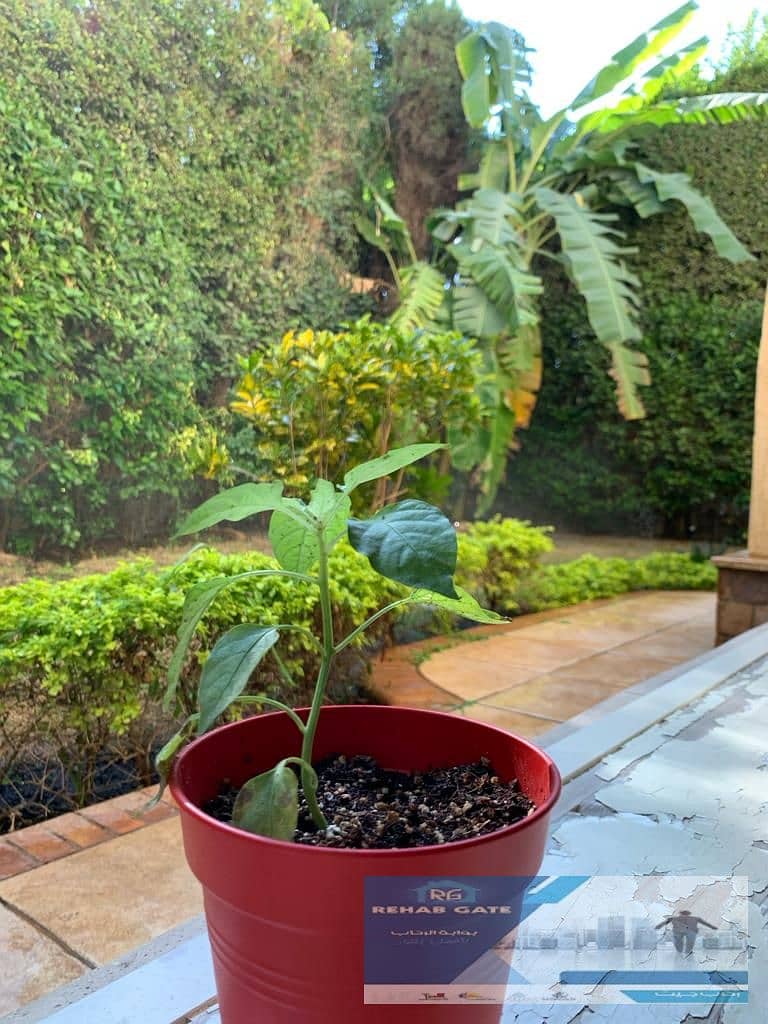 49 WhatsApp Image 2025-11-24 at 1.18. 34 PM (1). jpeg