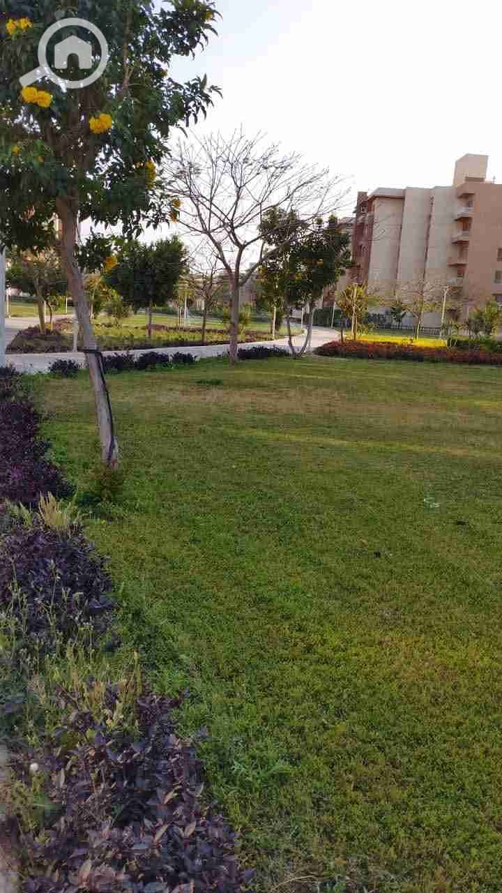 FB_IMG_1744526134525. jpg FB_IMG_1744526134525. jpg