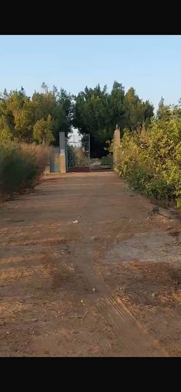 مزرعه ٥ فدان