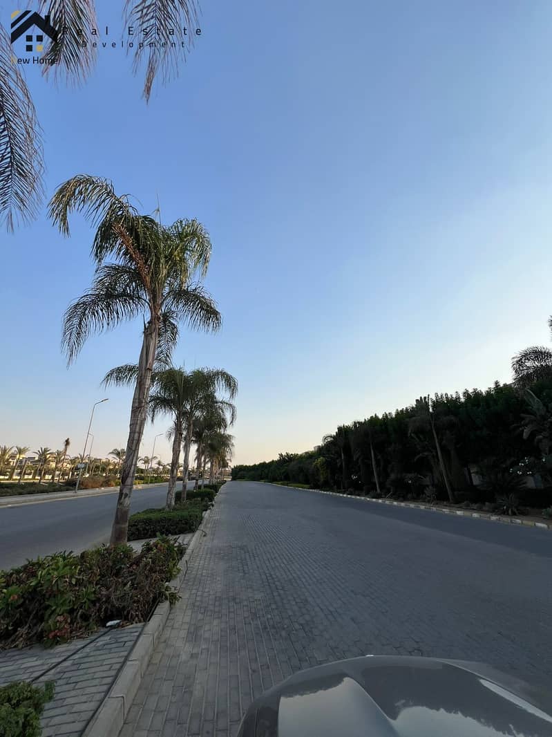 14 ca744955-d565-47b0-b3f1-70bcfcc824a6. jpeg