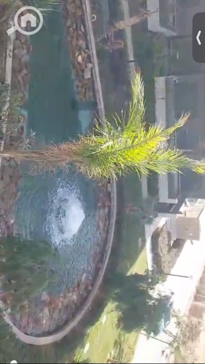 5 WhatsApp Image 2025-11-26 at 10.29. 55 PM (4). jpeg