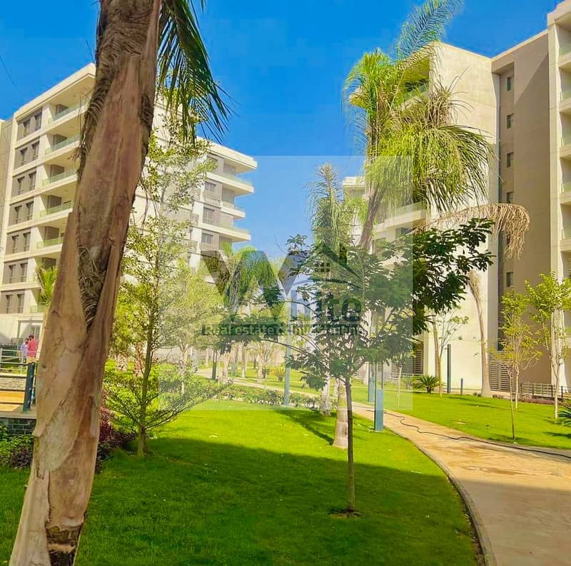 6 544905308_122186989844551557_3944776612183637603_n. jpg